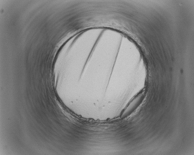 X0000068271513200605191815