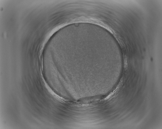 X0000068271515200605191815