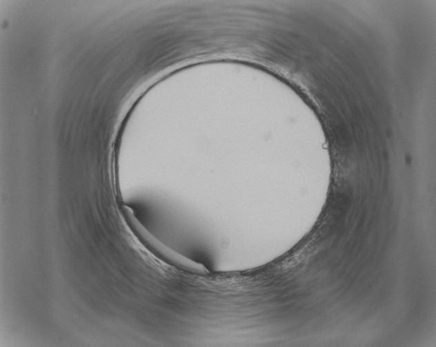 X0000068271516200605191815