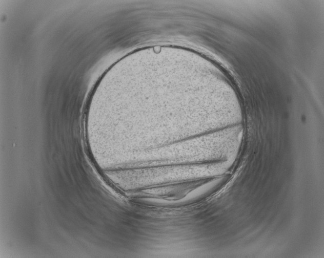 X0000068271517200605191815