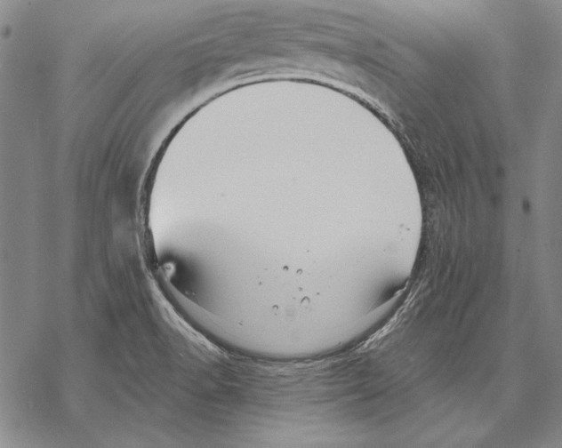 X0000068271518200605191815