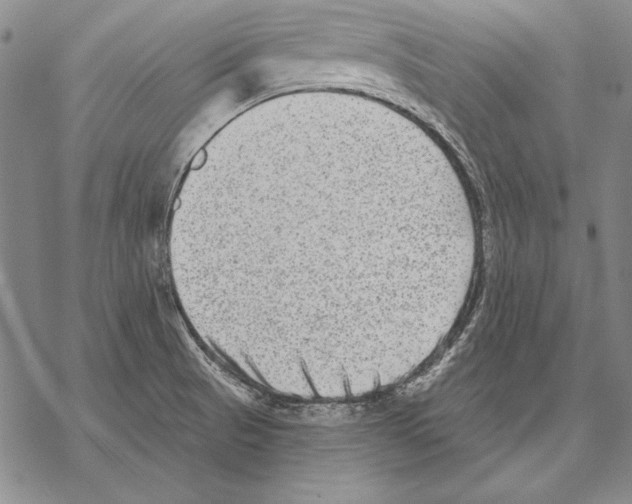 X0000068271521200605191815