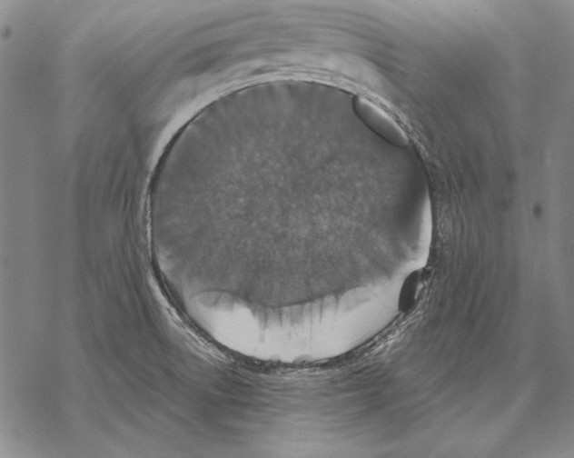 X0000068271522200605191815