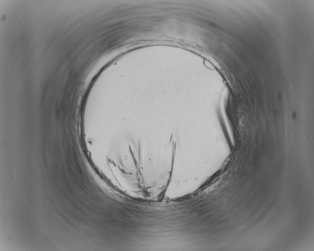 X0000068271523200605191815