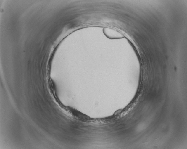 X0000068271525200605191815