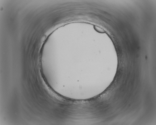 X0000068271526200605191815