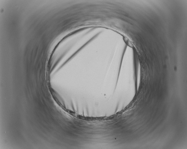 X0000068271527200605191815