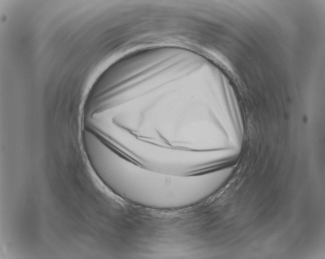 X0000068271528200605191815