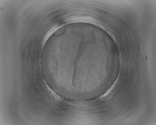 X0000068271529200605191815