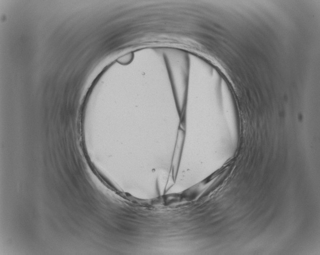 X0000068271531200605191815