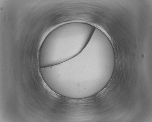 X0000068271532200605191815