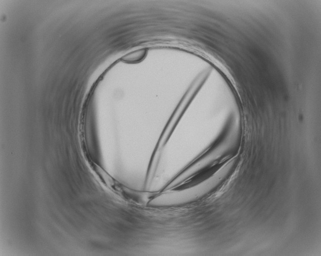 X0000068271533200605191815