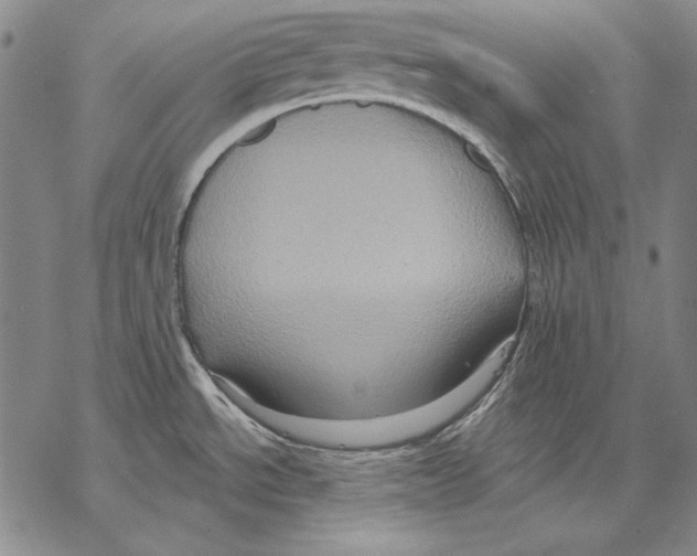 X0000068271534200605191815