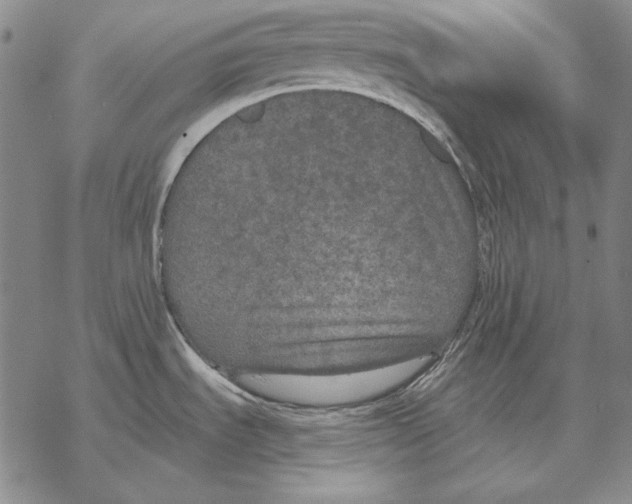 X0000068271535200605191815