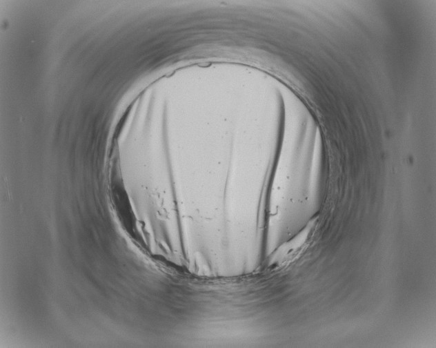 X0000068271536200605191815