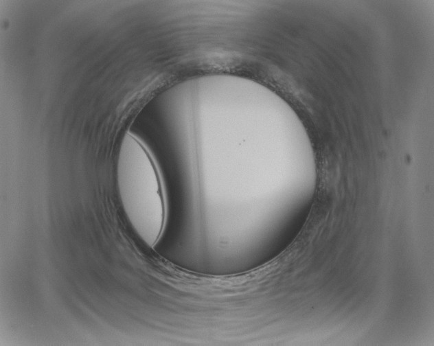 X0000068280027200604210927