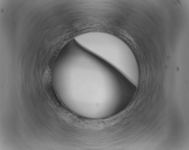 X0000068280029200604210927