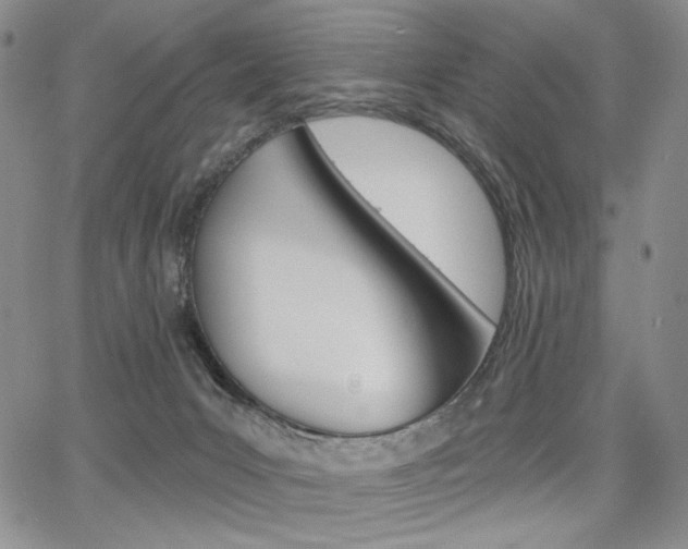 X0000068280031200604210927