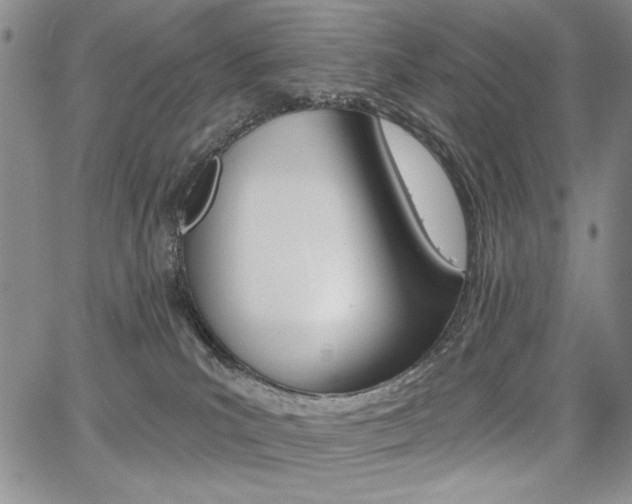 X0000068280039200604210927