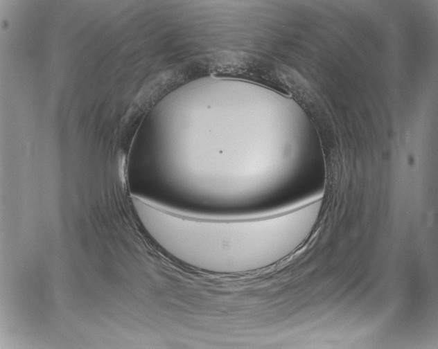 X0000068280041200604210927