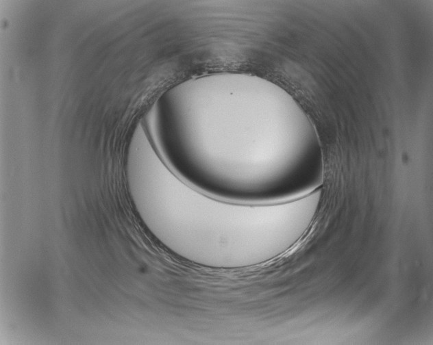 X0000068280045200604210927