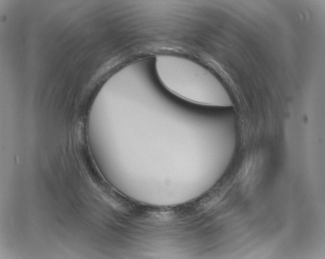 X0000068280071200604210926