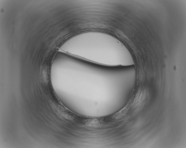 X0000068280074200604210926