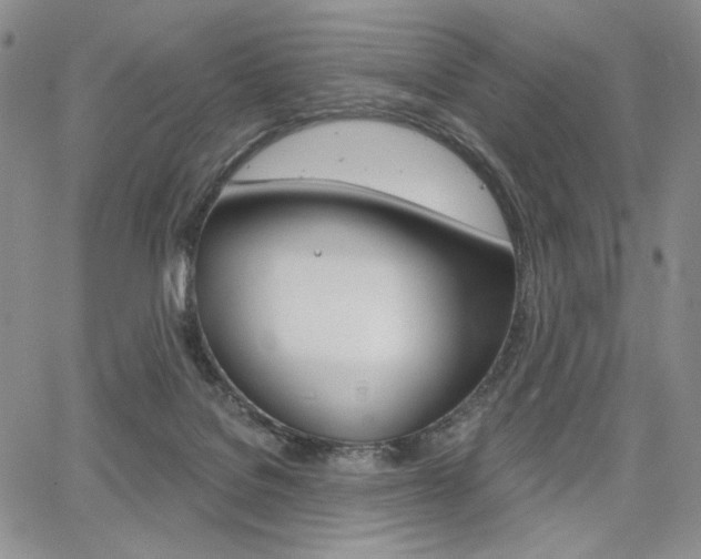 X0000068280076200604210926