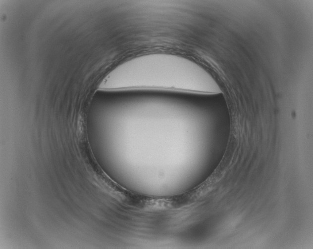 X0000068280077200604210927