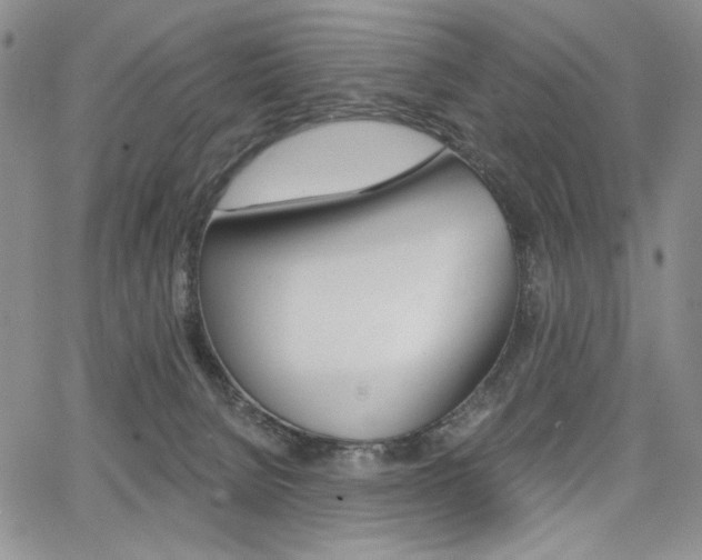 X0000068280080200604210927