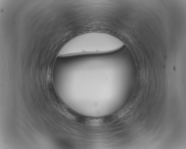 X0000068280081200604210927