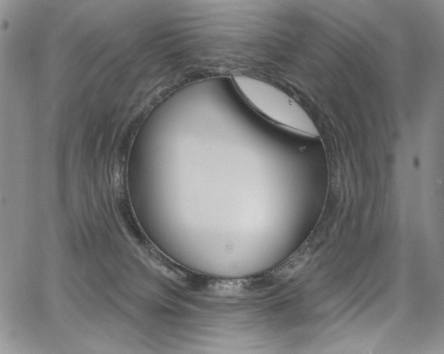 X0000068280084200604210927