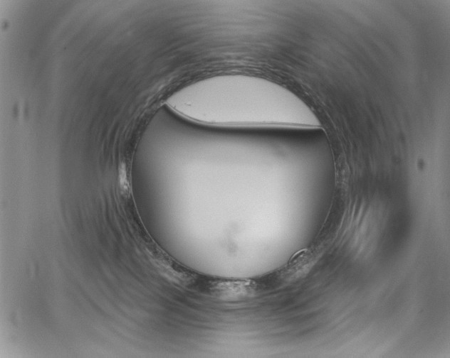 X0000068280089200604210927