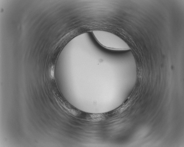 X0000068280095200604210927