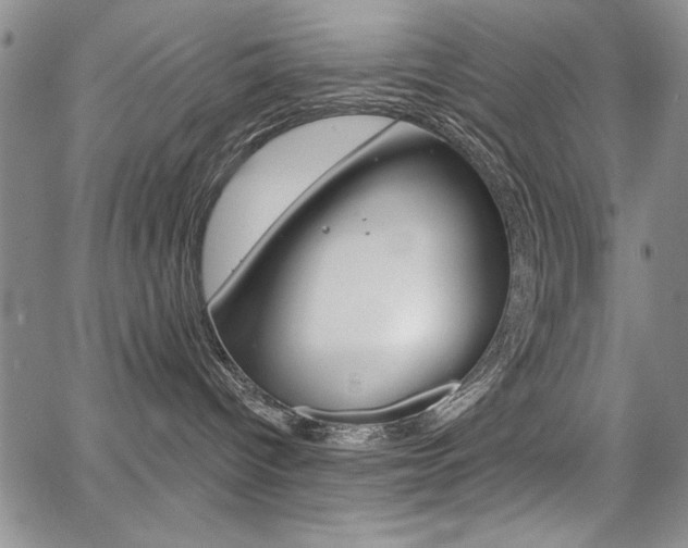 X0000068280096200604210927