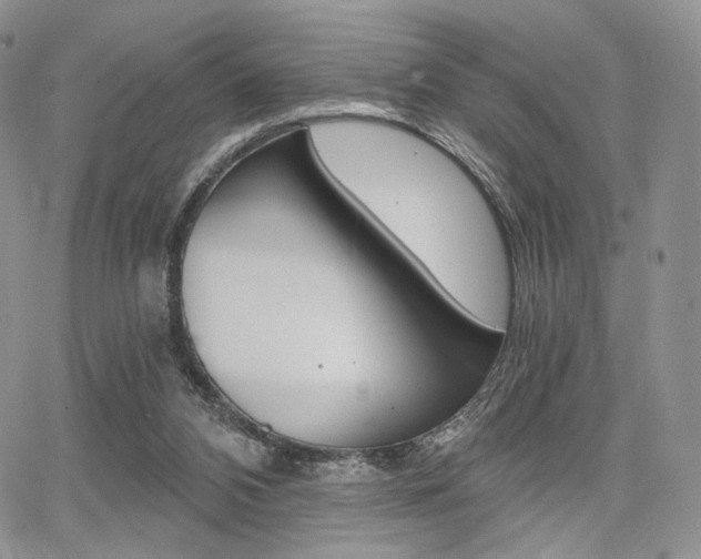 X0000068280112200604210926