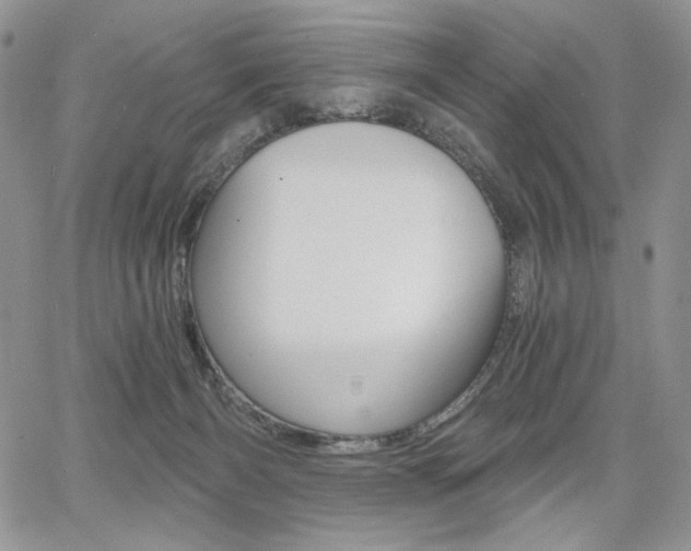 X0000068280126200604210926