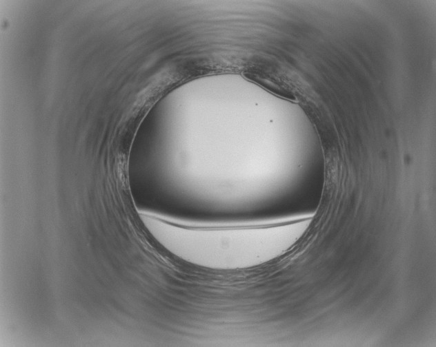 X0000068280141200604210925