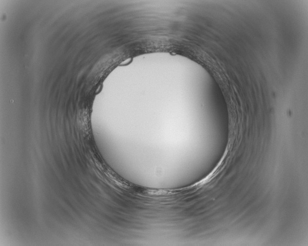 X0000068280144200604210925