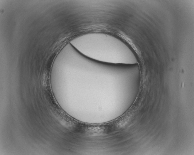 X0000068280161200604210925