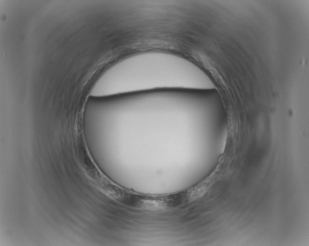 X0000068280167200604210925