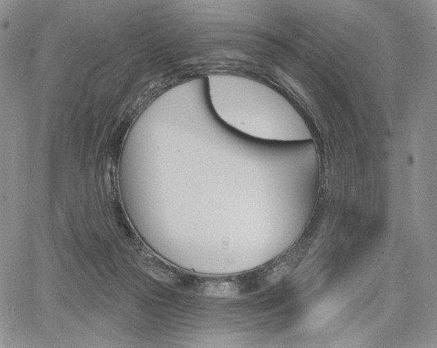 X0000068280169200604210925