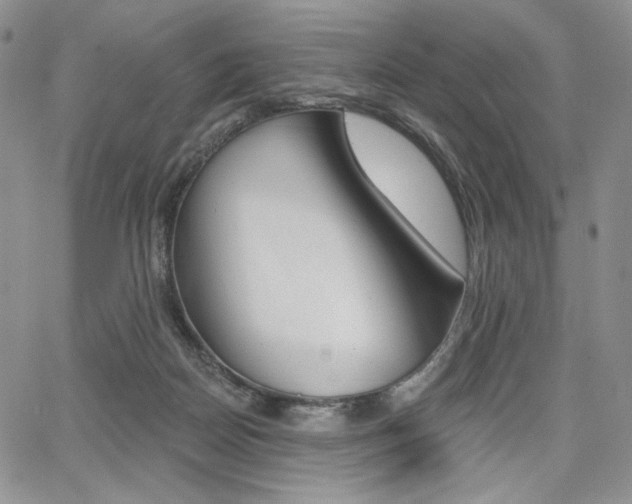 X0000068280170200604210925