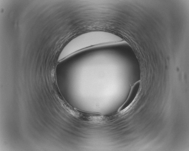 X0000068280192200604210925