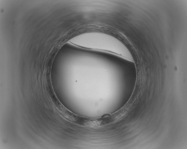 X0000068280217200604210924