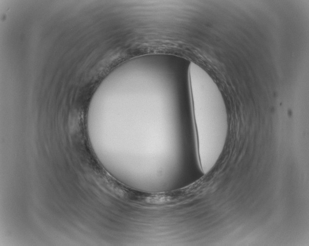 X0000068280225200604210924