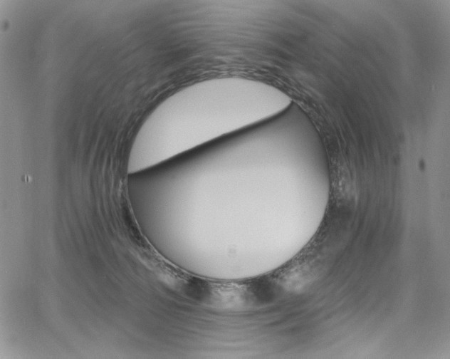 X0000068280226200604210924