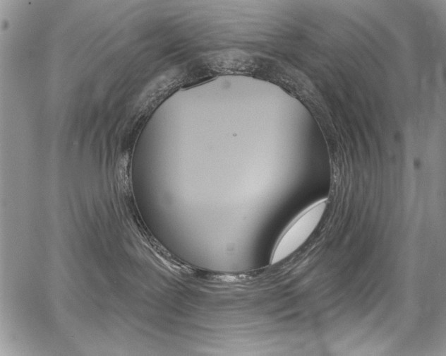 X0000068280239200604210924