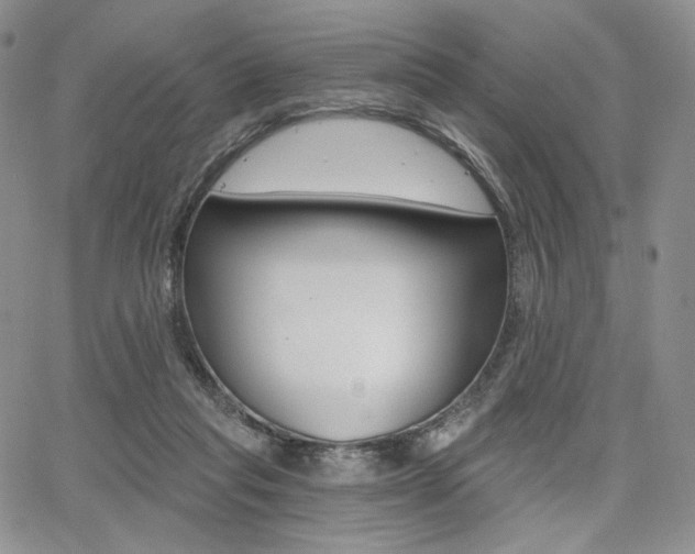 X0000068280261200604210923