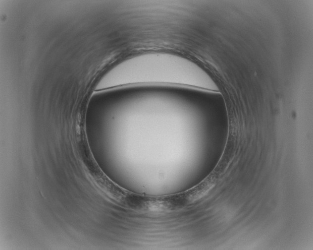 X0000068280264200604210923